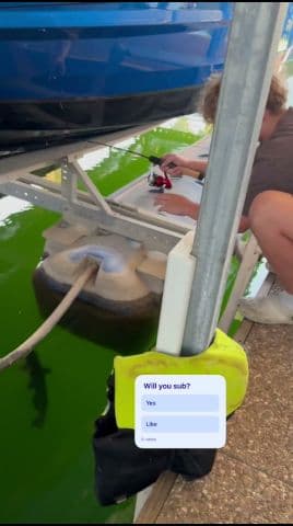 Huge Catfish! #bigfishvideos #fishing, 1 thousand views